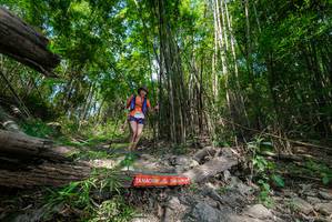 BIB: 
                            <button type="button" onclick="openModal(19393607)" class="btn btn-primary btn-sm float-right btn-popup" data-toggle="modal" data-target=".modal-high-quality">
                        <i class="fas fa-shopping-cart"></i> Add to Cart
                    </button>
                                            <button type="button" onclick="isThisMe(19393607, true)" class="btn btn-success btn-sm float-right btn-popup btn-isme hidden" data-toggle="tooltip" data-placement="bottom" title="นี่คือรูปของคุณใช่ไหม คลิกที่นี่เพื่อเอาเข้าอัลบั้ม">
                        <i class="fas fa-plus"></i> Add to album
                    </button>
                    <button type="button" onclick="isThisMe(19393607, false)" class="btn btn-warning btn-sm float-right btn-popup btn-isnotme hidden">
                        <i class="fas fa-ban"></i> Remove from album
                    </button>